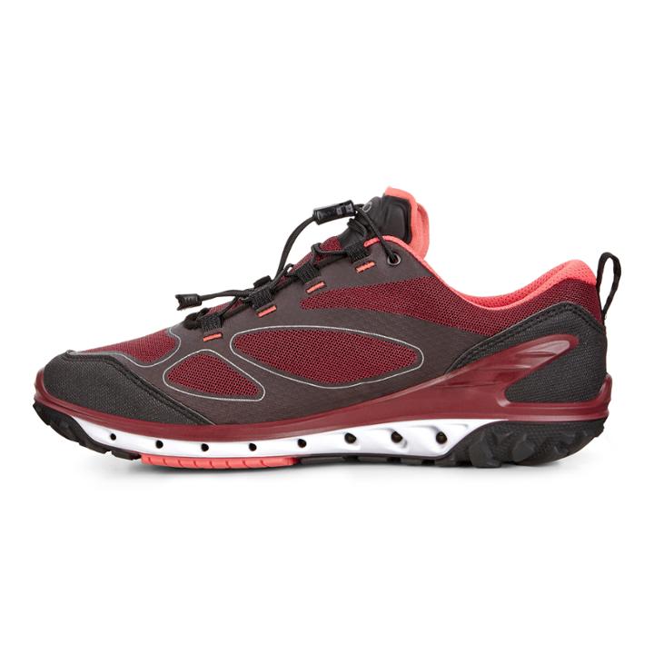 Ecco Womens Biom Venture Gtx