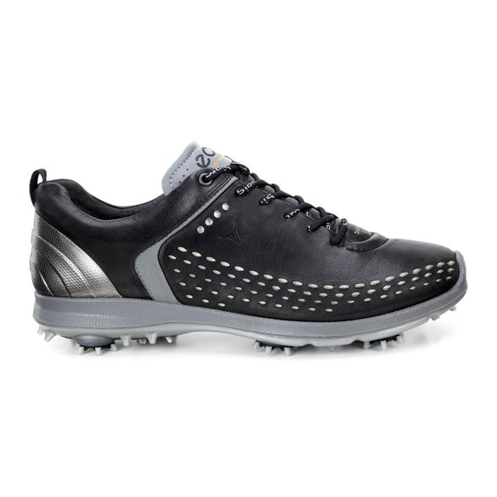 Ecco Mens Biom G 2