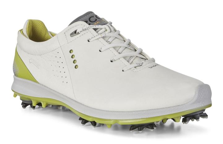 Ecco Men's Biom G 2 Free Gtx Shoes Size 5/5.5