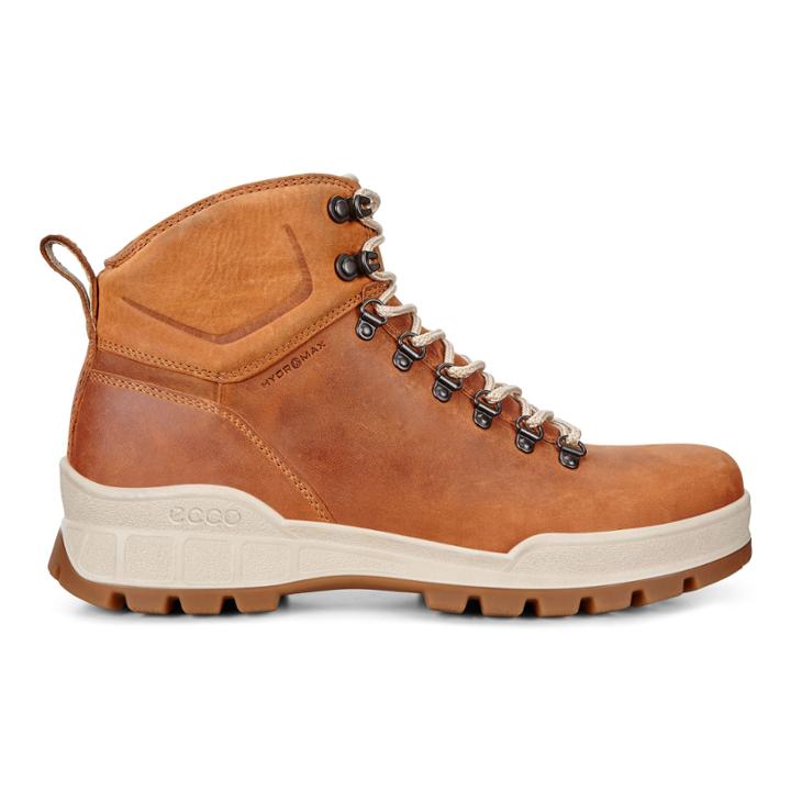 Ecco Mens Track 25 Hydromax
