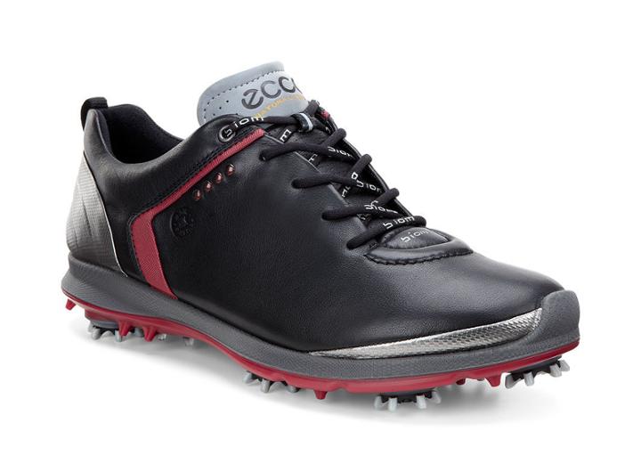 Ecco Men's Biom G 2 Gtx Shoes Size 9/9.5