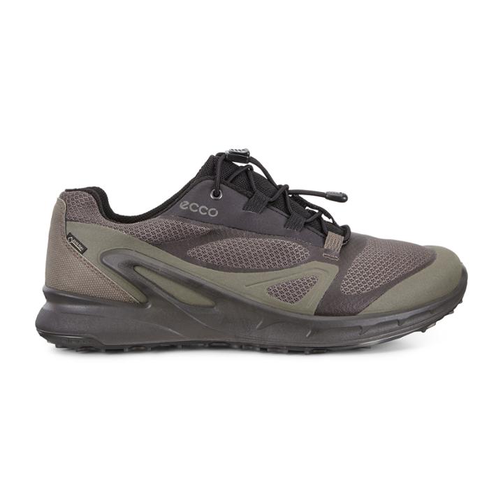 Ecco Biom Omniquest