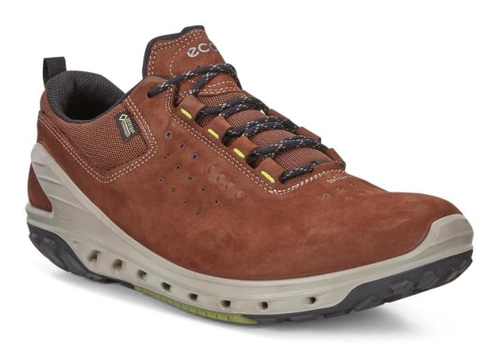 Ecco Men's Biom Venture Gtx Tie Shoes Size 6/6.5
