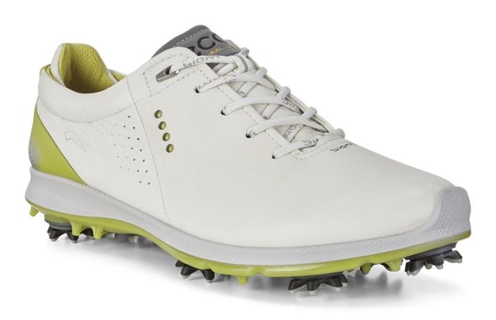 Ecco Ecco Mens Biom G 2 Free Gtx