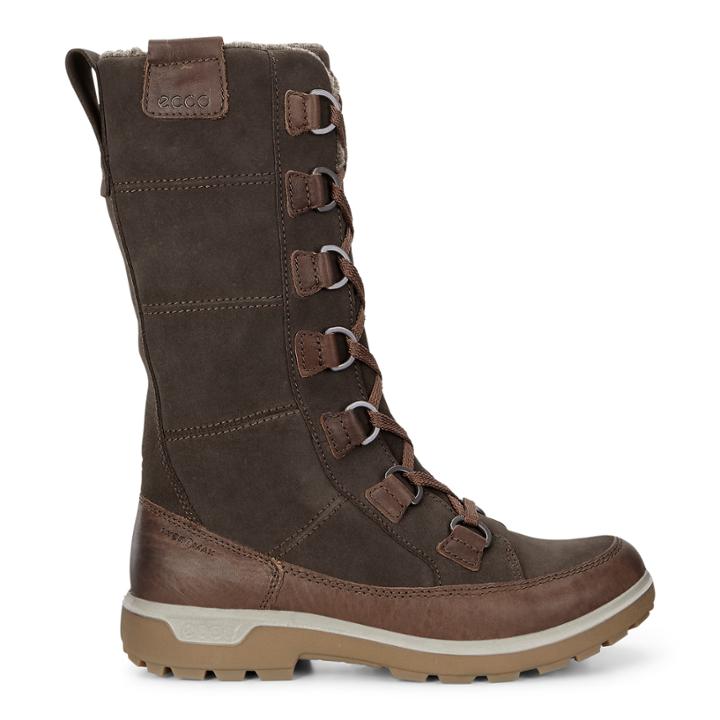 Ecco Womens Gora Tall Boot Size 4-4.5 Cocoa Brown