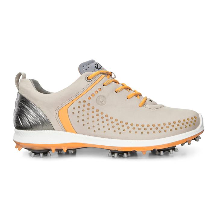 Ecco Womens Biom G 2
