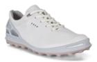Ecco Women's Cage Pro Gtx Shoes Size 4/4.5