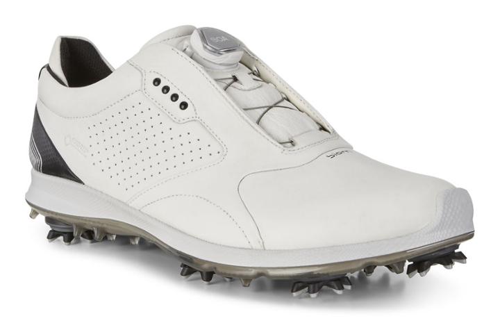 Ecco Men's Biom G 2 Boa Gtx Shoes Size 5/5.5