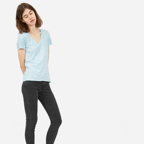 Everlane Women's V-neck Tee - Sky