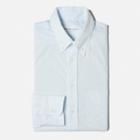 Everlane The Slim Fit Poplin - Lt Blue Pinstripe