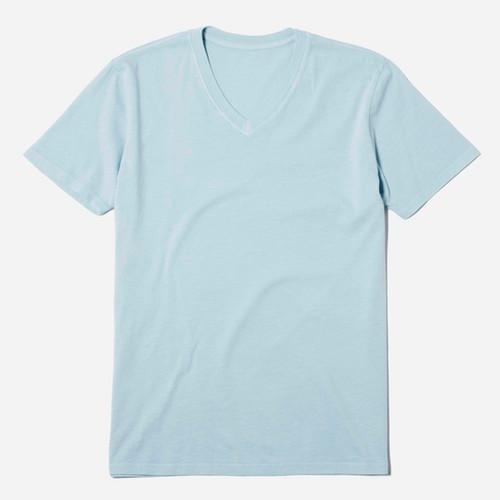 Everlane Men's V-neck Tee - Sky