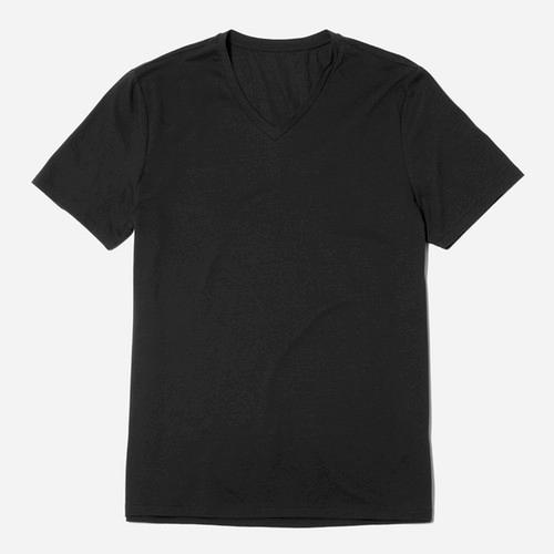 Everlane The Men's Premium V Tee - Black