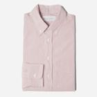 Everlane The Slim Fit Poplin - Crimson Pinstripe