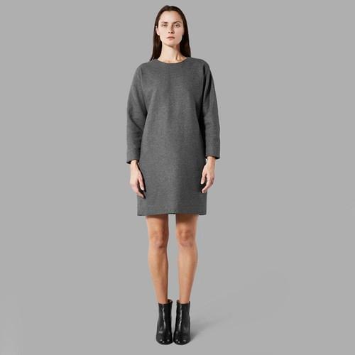 Everlane The E1 Structured Dress