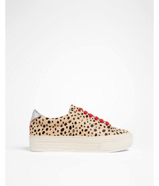 Express Womens Dolce Vita Tala Platform