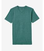 Express Flex Stretch Textured V-neck Tee