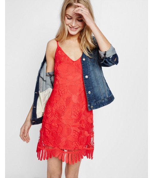 Express Womens Lace Trapeze Dress
