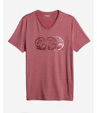Express Mens Triple Lion Graphic Tee