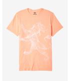 Express Water Lion Graphic Tee