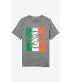 Express Men's Tees Gray Irish Lion Graphic T-shirt