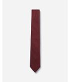Express Mens Narrow Solid Textured Tie