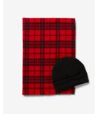 Express Mens Checkered Scarf And Beanie Gift