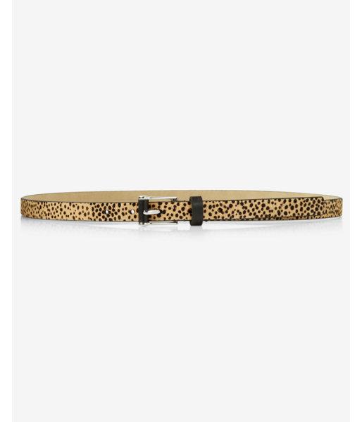 Express Womens Leopard Spot Haircalf Buckle Belt
