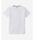Express Small Lion V-neck Tee