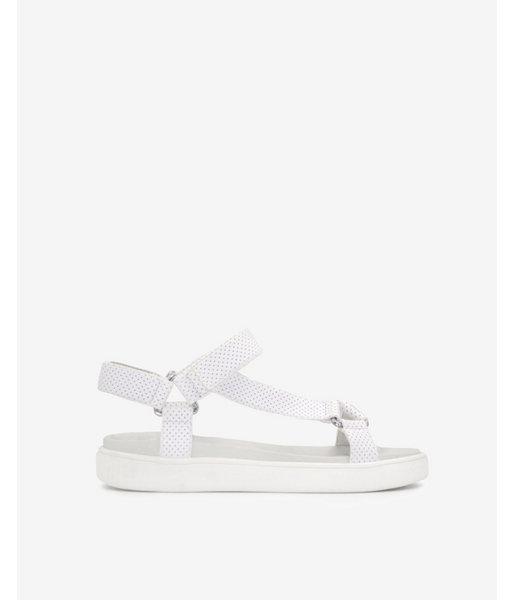 Express Womens Jane And The Shoe Jade