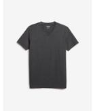 Express Mens Slim Stretch V-neck Tee
