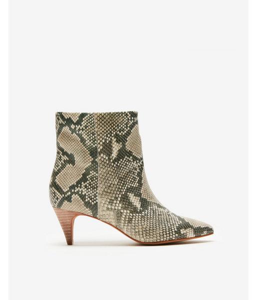 Express Womens Dolce Vita Snake Deedee Booties