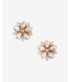 Express Womens Mixed Stone Flower Post Earrings