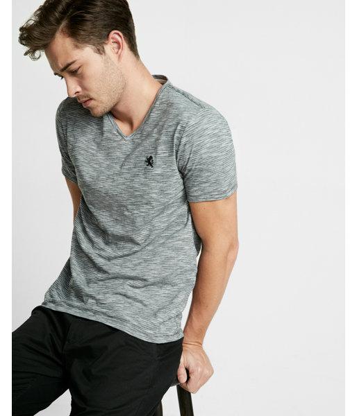 Express Small Lion Slub End-on-end V-neck Tee