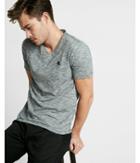 Express Small Lion Slub End-on-end V-neck Tee