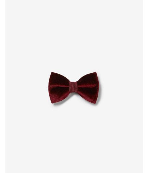 Express Mens Velvet Bow Tie