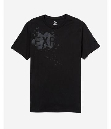 Express Exp Nyc Lion Graphic Tee