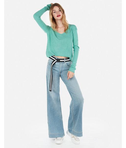 Express Womens Cropped V-neck