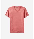 Express Heathered Flex Stretch Cotton V-neck Tee