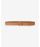 Express Arrow Buckle Belt