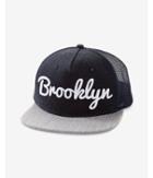Express Mens Brooklyn Baseball Hat