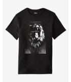 Express Never Scared Lion Graphic Tee