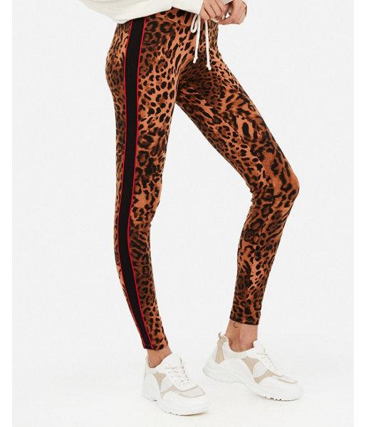 Express Womens Stripe High Waisted Sexy Stretch Slimming