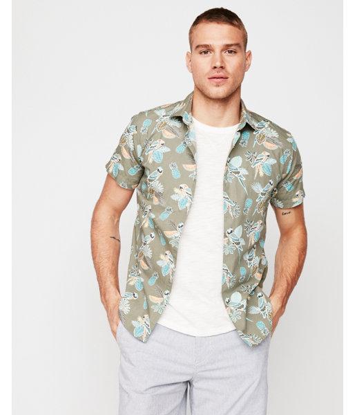 Express Mens Tropical Parrot Cotton Short
