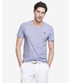 Express Mens Nep Knit Small Lion V-neck Tee