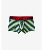 Express Mens Green Rugby Stripe