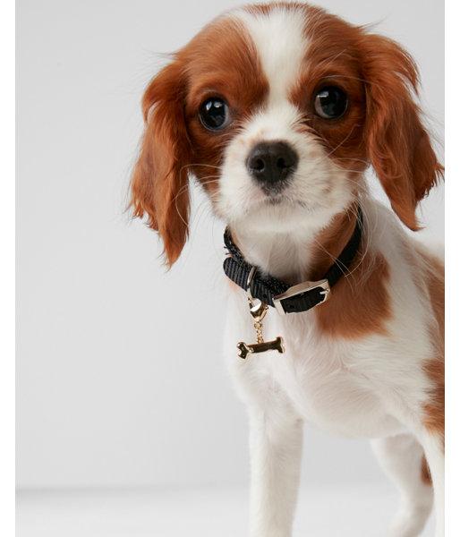 Express Womens Bone Dog Charm