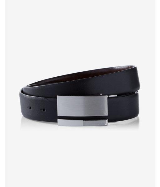 Express Mens 2-in-1 Reversible Striped Plaque Belt