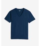 Express Mens Slim Stretch Deep V-neck T-shirt