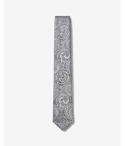 Express Mens Narrow Paisley Tie