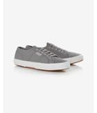 Express Mens Gray Superga Canvas Low Top
